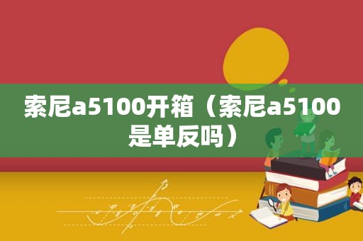 索尼a5100开箱（索尼a5100是单反吗）