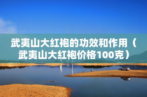 武夷山大红袍的功效和作用（武夷山大红袍价格100克）