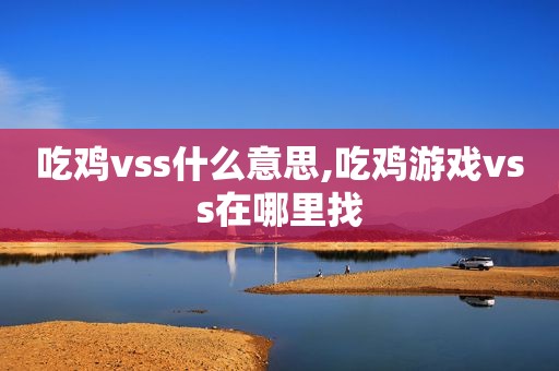 吃鸡vss什么意思,吃鸡游戏vss在哪里找