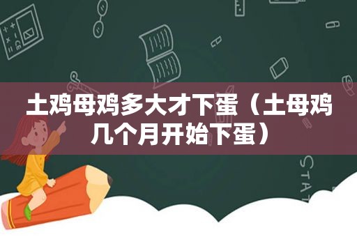 土鸡母鸡多大才下蛋（土母鸡几个月开始下蛋）