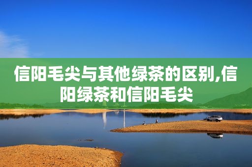 信阳毛尖与其他绿茶的区别,信阳绿茶和信阳毛尖