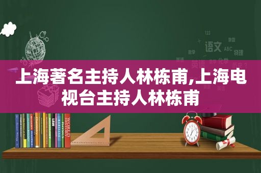 上海著名主持人林栋甫,上海电视台主持人林栋甫  第1张