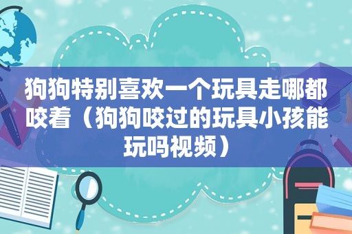 狗狗特别喜欢一个玩具走哪都咬着（狗狗咬过的玩具小孩能玩吗视频）