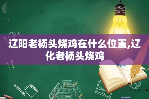 辽阳老杨头烧鸡在什么位置,辽化老杨头烧鸡  第1张