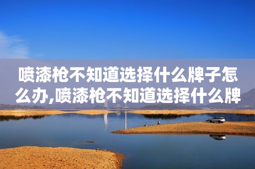 喷漆枪不知道选择什么牌子怎么办,喷漆枪不知道选择什么牌子了  第1张