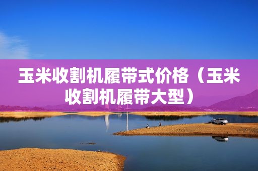 玉米收割机履带式价格（玉米收割机履带大型）