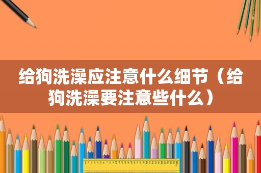 给狗洗澡应注意什么细节（给狗洗澡要注意些什么）