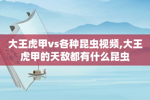 大王虎甲vs各种昆虫视频,大王虎甲的天敌都有什么昆虫  第1张