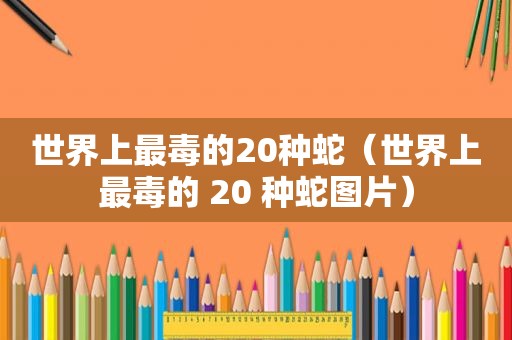世界上最毒的20种蛇（世界上最毒的 20 种蛇图片）