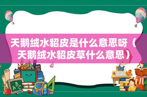 天鹅绒水貂皮是什么意思呀（天鹅绒水貂皮草什么意思）