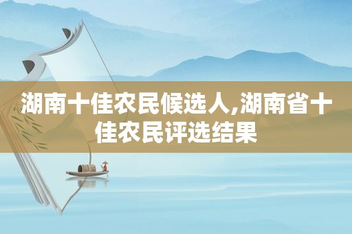 湖南十佳农民候选人,湖南省十佳农民评选结果