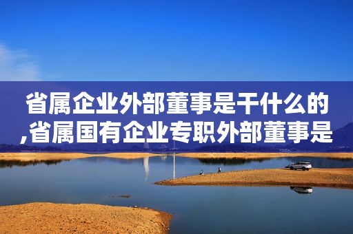 省属企业外部董事是干什么的,省属国有企业专职外部董事是什么意思
