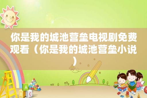 你是我的城池营垒电视剧免费观看（你是我的城池营垒小说）