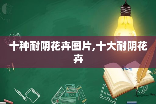 十种耐阴花卉图片,十大耐阴花卉