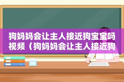 狗妈妈会让主人接近狗宝宝吗视频（狗妈妈会让主人接近狗宝宝吗为什么）