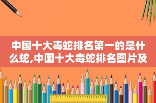 中国十大毒蛇排名第一的是什么蛇,中国十大毒蛇排名图片及名称