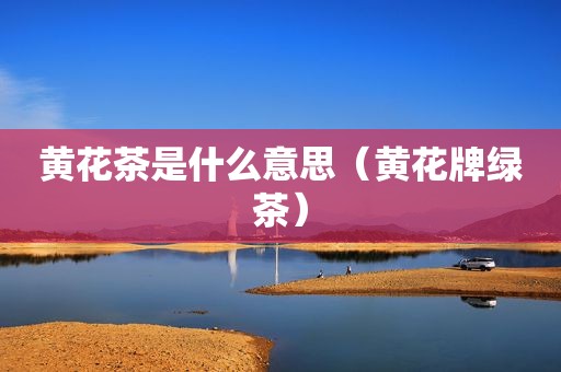 黄花茶是什么意思（黄花牌绿茶）