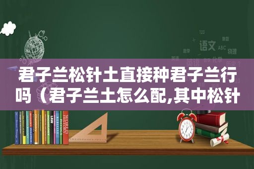 君子兰松针土直接种君子兰行吗（君子兰土怎么配,其中松针怎么处理）