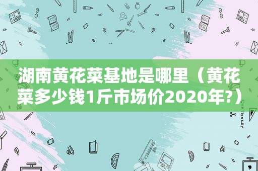 湖南黄花菜基地是哪里（黄花菜多少钱1斤市场价2020年?）  第1张