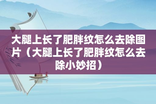 大腿上长了肥胖纹怎么去除图片（大腿上长了肥胖纹怎么去除小妙招）