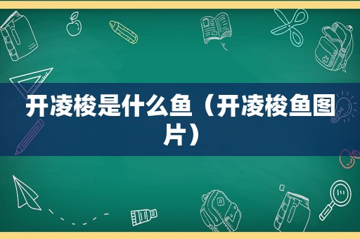 开凌梭是什么鱼（开凌梭鱼图片）