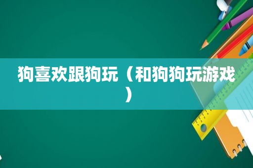 狗喜欢跟狗玩（和狗狗玩游戏）