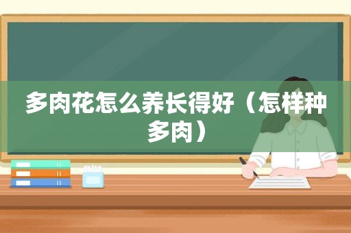 多肉花怎么养长得好（怎样种多肉）