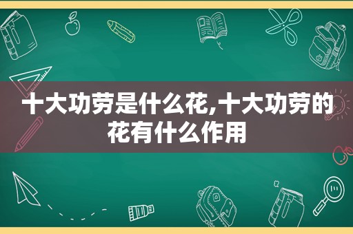 十大功劳是什么花,十大功劳的花有什么作用