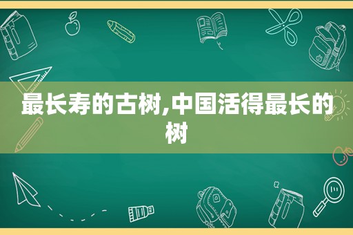 最长寿的古树,中国活得最长的树