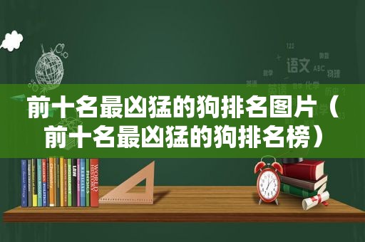 前十名最凶猛的狗排名图片（前十名最凶猛的狗排名榜）  第1张