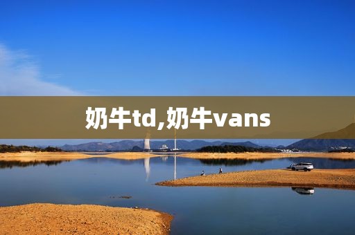 奶牛td,奶牛vans