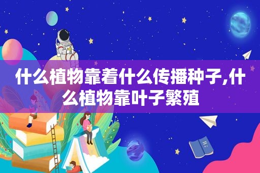 什么植物靠着什么传播种子,什么植物靠叶子繁殖  第1张