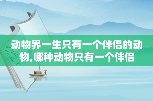 动物界一生只有一个伴侣的动物,哪种动物只有一个伴侣