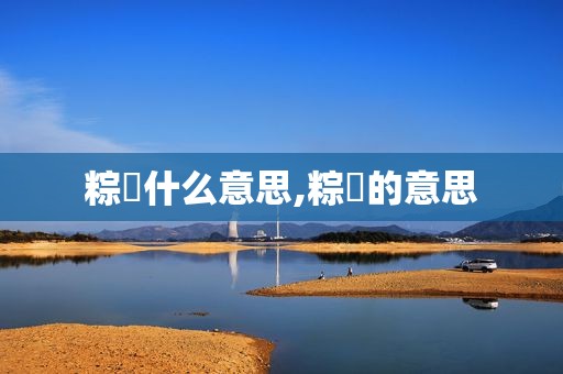 粽䎢什么意思,粽籺的意思