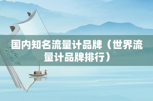 国内知名流量计品牌（世界流量计品牌排行）
