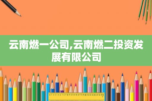 云南燃一公司,云南燃二投资发展有限公司
