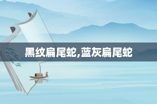 黑纹扁尾蛇,蓝灰扁尾蛇