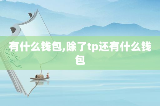 有什么钱包,除了tp还有什么钱包  第1张
