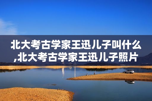 北大考古学家王迅儿子叫什么,北大考古学家王迅儿子照片