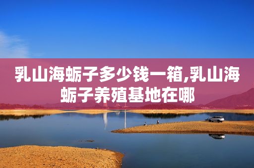 乳山海蛎子多少钱一箱,乳山海蛎子养殖基地在哪  第1张