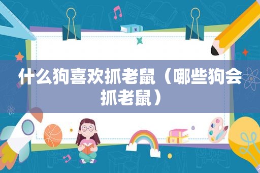 什么狗喜欢抓老鼠（哪些狗会抓老鼠）
