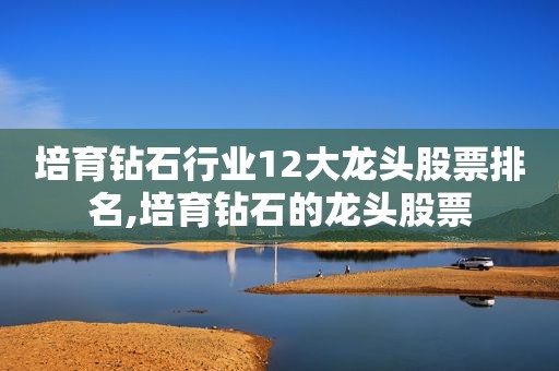 培育钻石行业12大龙头股票排名,培育钻石的龙头股票