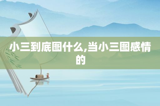 小三到底图什么,当小三图感情的  第1张