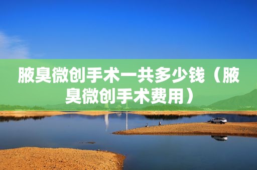 腋臭微创手术一共多少钱（腋臭微创手术费用）