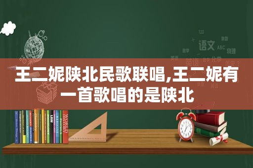 王二妮陕北民歌联唱,王二妮有一首歌唱的是陕北