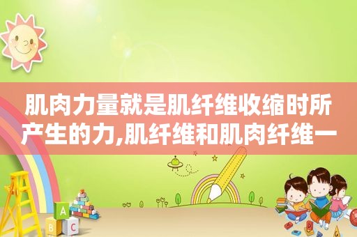肌肉力量就是肌纤维收缩时所产生的力,肌纤维和肌肉纤维一样吗
