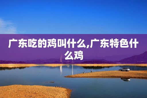 广东吃的鸡叫什么,广东特色什么鸡
