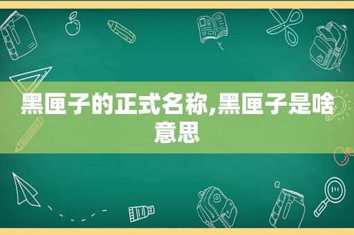 黑匣子的正式名称,黑匣子是啥意思