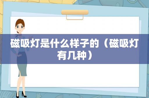 磁吸灯是什么样子的（磁吸灯有几种）