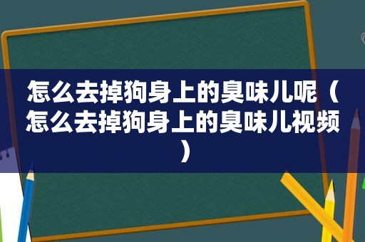怎么去掉狗身上的臭味儿呢（怎么去掉狗身上的臭味儿视频）